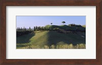 Trees on Rolling Green Hills, Tuscany, Italy Fine Art Print