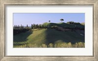 Trees on Rolling Green Hills, Tuscany, Italy Fine Art Print