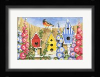 Bird House Row Fine Art Print