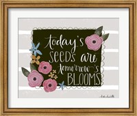 Today's Seeds Fine Art Print