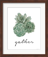 Gather - Cactus Fine Art Print