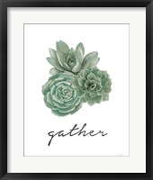 Gather - Cactus Fine Art Print