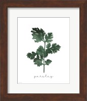 Parsley Fine Art Print