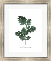 Parsley Fine Art Print