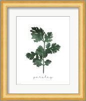 Parsley Fine Art Print