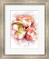 Peach Peony II Fine Art Print