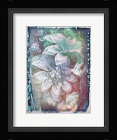 Midnight Mystery Framed Print