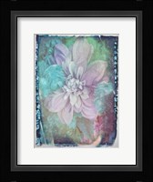 Midnight Mystery II Framed Print