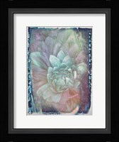 Midnight Mystery III Framed Print