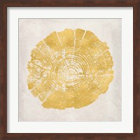 Tree Stump Golden I Fine Art Print