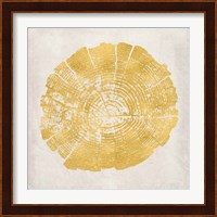 Tree Stump Golden I Fine Art Print