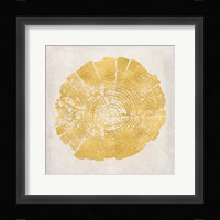 Tree Stump Golden I Framed Print