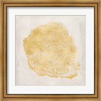 Tree Stump Golden III Fine Art Print