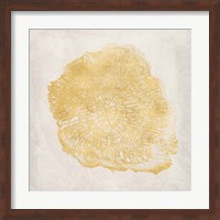 Tree Stump Golden III Fine Art Print