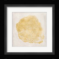 Tree Stump Golden III Framed Print