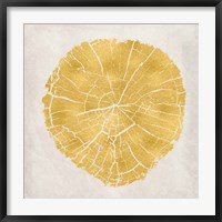 Tree Stump Golden IV Fine Art Print