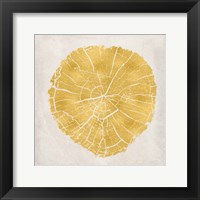 Tree Stump Golden IV Framed Print