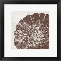 Tree Rings III Framed Print