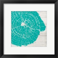 Tree Rings IV Framed Print