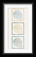 Stump Triptych I Fine Art Print
