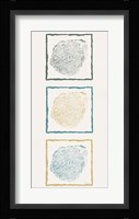 Stump Triptych II Fine Art Print