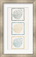 Stump Triptych II Fine Art Print