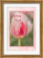 Spring Fever Fine Art Print