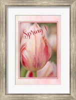 Spring! Fine Art Print