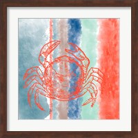 Crab Stripes Fine Art Print