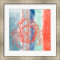 Crab Stripes Fine Art Print