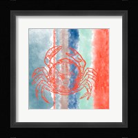 Crab Stripes Framed Print