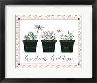 Garden II Framed Print