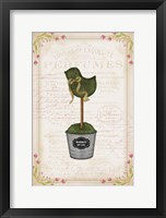 Topiary Chick Framed Print