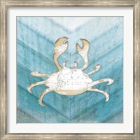 Coastal Crab Fine Art Print