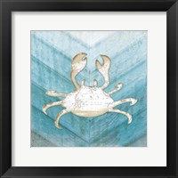 Coastal Crab Framed Print