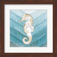 Coastal Seahorse Fine Art Print