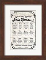 Stain Removal Guide Fine Art Print