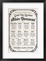 Stain Removal Guide Fine Art Print