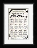 Stain Removal Guide Framed Print