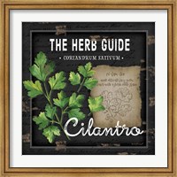 Herb Guide Cilantro Fine Art Print
