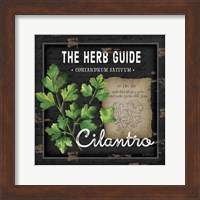Herb Guide Cilantro Fine Art Print