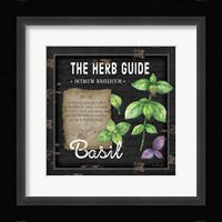 Herb Guide Basil Fine Art Print