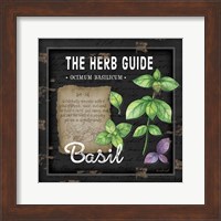 Herb Guide Basil Fine Art Print