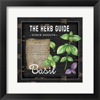 Herb Guide Basil Fine Art Print