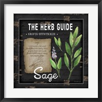 Herb Guide Sage Fine Art Print