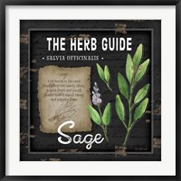 Herb Guide Sage Fine Art Print