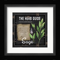 Herb Guide Sage Framed Print