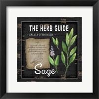 Herb Guide Sage Framed Print