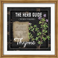 Herb Guide Thyme Fine Art Print