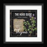 Herb Guide Thyme Framed Print